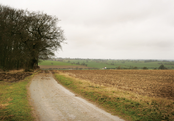 The land view