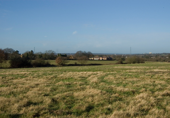The land view