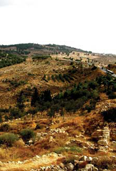 Ashrafiya