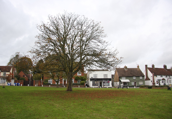 The Village