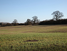land view 8