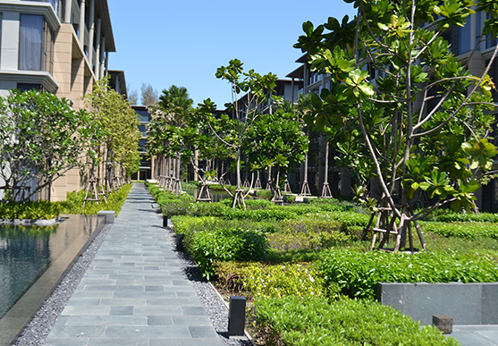 Baan Mai Khao, Phuket